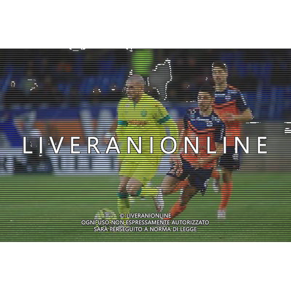 Vincent BESSAT - 24.01.2015 - Montpellier / Nantes - 22eme journee de Ligue1 Photo : Nicolas Guyonnet / Icon Sport AG ALDO LIVERANI SAS ONLY ITALY