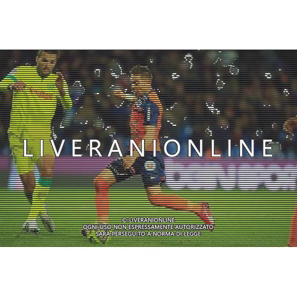 but Anthony MOUNIER - 24.01.2015 - Montpellier / Nantes - 22eme journee de Ligue1 Photo : Nicolas Guyonnet / Icon Sport AG ALDO LIVERANI SAS ONLY ITALY