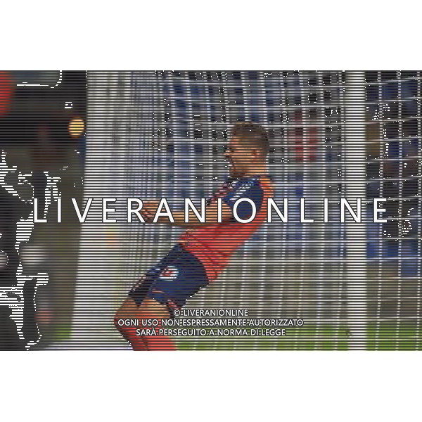 joie Anthony MOUNIER - 24.01.2015 - Montpellier / Nantes - 22eme journee de Ligue1 Photo : Nicolas Guyonnet / Icon Sport AG ALDO LIVERANI SAS ONLY ITALY