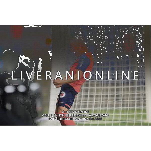 joie Anthony MOUNIER - 24.01.2015 - Montpellier / Nantes - 22eme journee de Ligue1 Photo : Nicolas Guyonnet / Icon Sport AG ALDO LIVERANI SAS ONLY ITALY