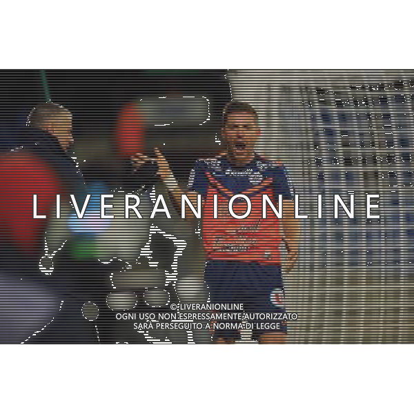 joie Anthony MOUNIER - 24.01.2015 - Montpellier / Nantes - 22eme journee de Ligue1 Photo : Nicolas Guyonnet / Icon Sport AG ALDO LIVERANI SAS ONLY ITALY