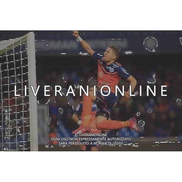 joie Anthony MOUNIER - 24.01.2015 - Montpellier / Nantes - 22eme journee de Ligue1 Photo : Nicolas Guyonnet / Icon Sport AG ALDO LIVERANI SAS ONLY ITALY