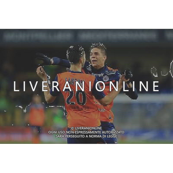 Jonas MARTIN - 24.01.2015 - Montpellier / Nantes - 22eme journee de Ligue1 Photo : Nicolas Guyonnet / Icon Sport AG ALDO LIVERANI SAS ONLY ITALY