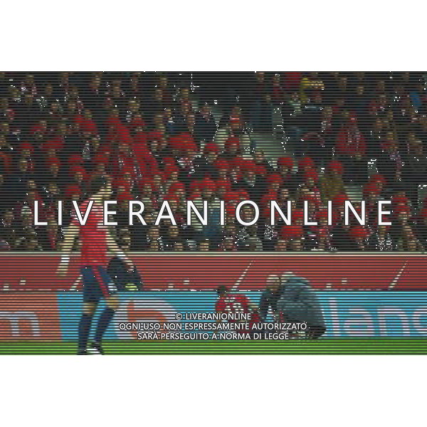 Supporters de Lille - 24.01.2015 - Lille / Monaco - 22eme journee de Ligue1 Photo : Dave Winter / Icon Sport AG ALDO LIVERANI SAS ONLY ITALY