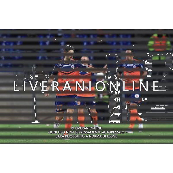 joie PAUL LASNE - 24.01.2015 - Montpellier / Nantes - 22eme journee de Ligue1 Photo : Nicolas Guyonnet / Icon Sport AG ALDO LIVERANI SAS ONLY ITALY
