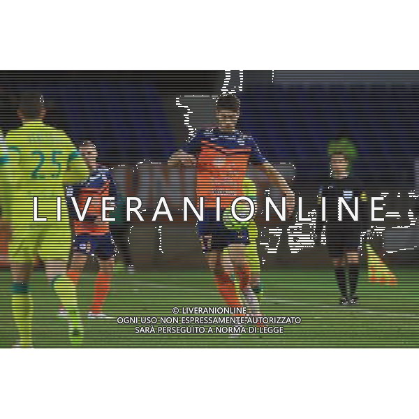 Paul LASNE - 24.01.2015 - Montpellier / Nantes - 22eme journee de Ligue1 Photo : Nicolas Guyonnet / Icon Sport AG ALDO LIVERANI SAS ONLY ITALY