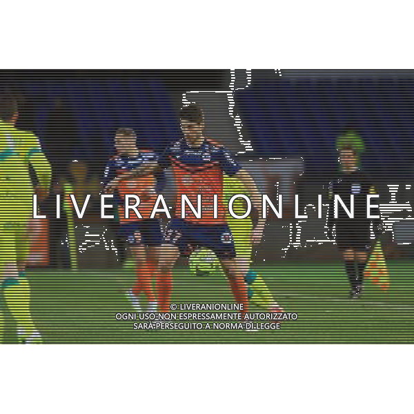 Paul LASNE - 24.01.2015 - Montpellier / Nantes - 22eme journee de Ligue1 Photo : Nicolas Guyonnet / Icon Sport AG ALDO LIVERANI SAS ONLY ITALY