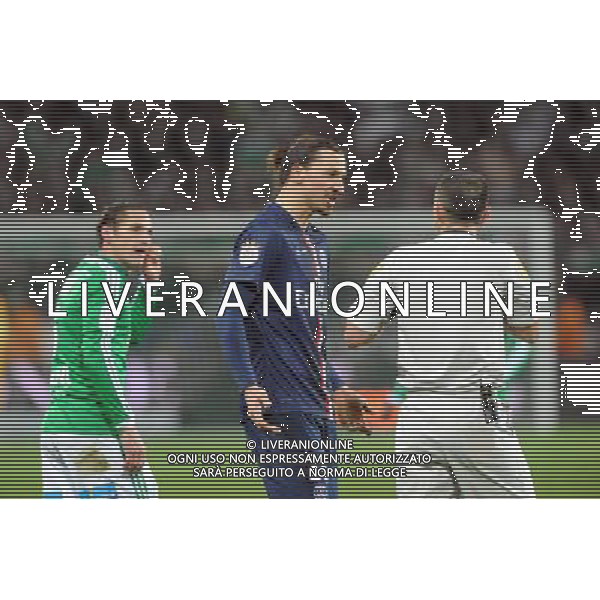 Ruddy BUQUET / Zlatan IBRAHIMOVIC - 25.01.2015 - Saint Etienne / PSG - 22eme journee de Ligue1 Photo : Jean Paul Thomas / Icon Sport AG ALDO LIVERANI SAS ONLY ITALY