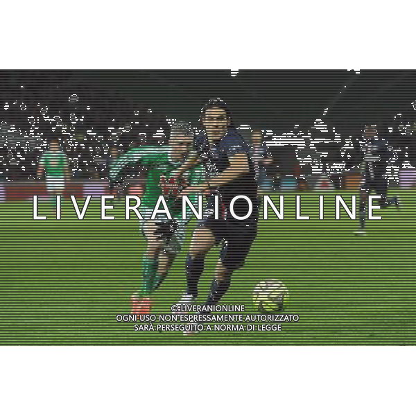 Edinson CAVANI - 25.01.2015 - Saint Etienne / PSG - 22eme journee de Ligue1 Photo : Jean Paul Thomas / Icon Sport AG ALDO LIVERANI SAS ONLY ITALY