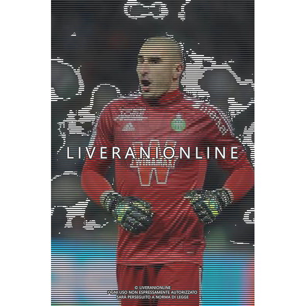 Stephane RUFFIER - 25.01.2015 - Saint Etienne / PSG - 22eme journee de Ligue1 Photo : Jean Paul Thomas / Icon Sport AG ALDO LIVERANI SAS ONLY ITALY