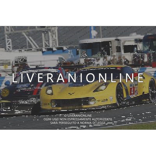 Oliver Gavin (GBR) Tommy Milner (USA) Simon Pagenaud (FRA) Corvette Racing Chevrolet Corvette C7.R and Patrick Lindsey (USA) Spencer Pumpelly (USA) Jim Norman (USA) David Ducote (USA) Kevin Estre (USA) Park Place Motorsports Porsche 911 GT America 24.01.2015. Rolex 24, Saturday, Race, Daytona, USA. - www.xpbimages.com, EMail: requests@xpbimages.com - copy of publication required for printed pictures. Every used picture is fee-liable. © Copyright: Trienitz / XPB Images AG ALDO LIVERANI SAS ONLY ITALY