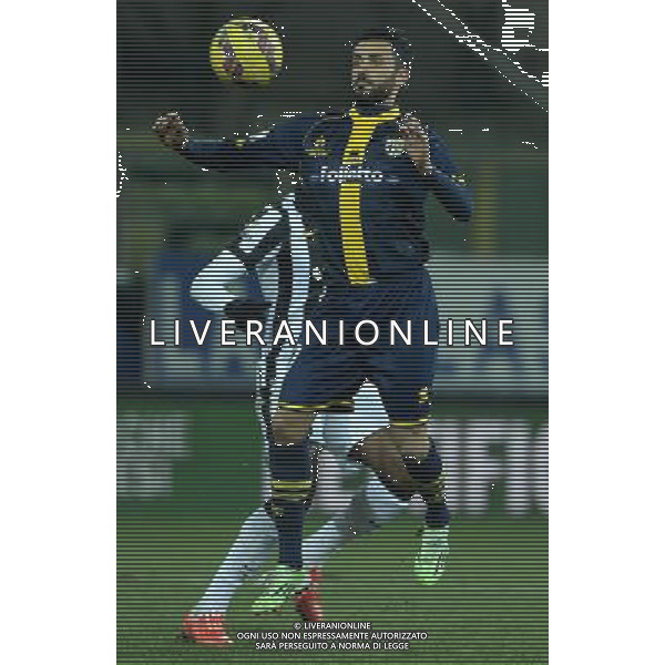 Coppa Italia TIM Cup 2014/2015 Quarti di Finale Parma - 28.01.2015 Parma-Juventus Nella Foto:palladino /Ph.Vitez-Ag. Aldo Liverani