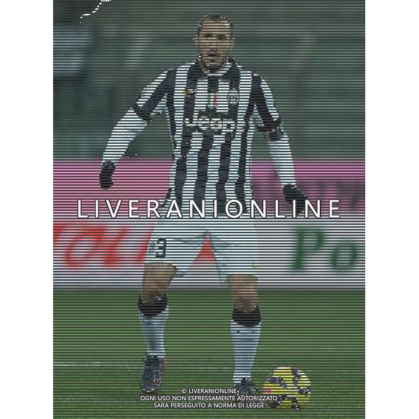 Coppa Italia TIM Cup 2014/2015 Quarti di Finale Parma - 28.01.2015 Parma-Juventus Nella Foto:Chiellini Giorgio /Ph.Vitez-Ag. Aldo Liverani