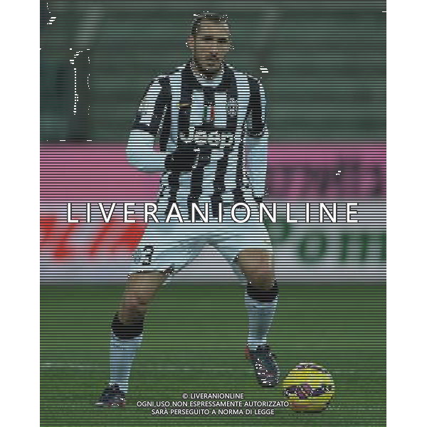 Coppa Italia TIM Cup 2014/2015 Quarti di Finale Parma - 28.01.2015 Parma-Juventus Nella Foto:Chiellini Giorgio /Ph.Vitez-Ag. Aldo Liverani