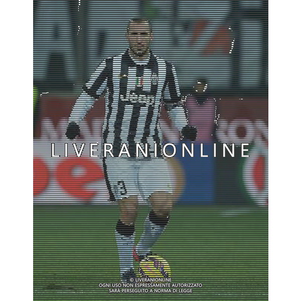 Coppa Italia TIM Cup 2014/2015 Quarti di Finale Parma - 28.01.2015 Parma-Juventus Nella Foto:Chiellini Giorgio /Ph.Vitez-Ag. Aldo Liverani