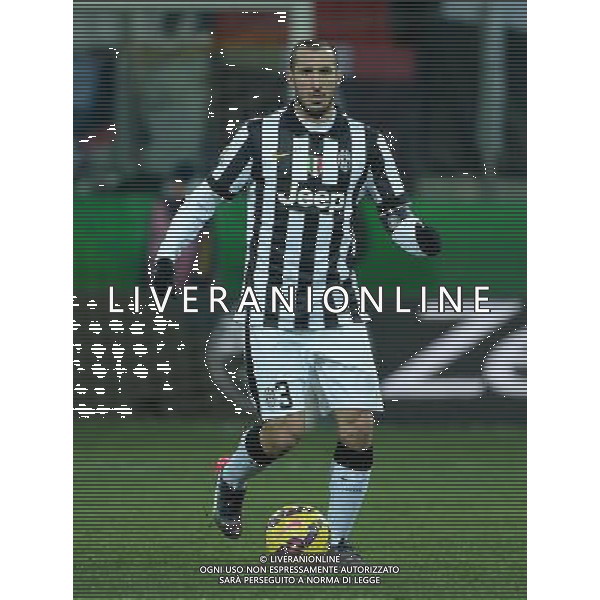 Coppa Italia TIM Cup 2014/2015 Quarti di Finale Parma - 28.01.2015 Parma-Juventus Nella Foto:Chiellini Giorgio /Ph.Vitez-Ag. Aldo Liverani