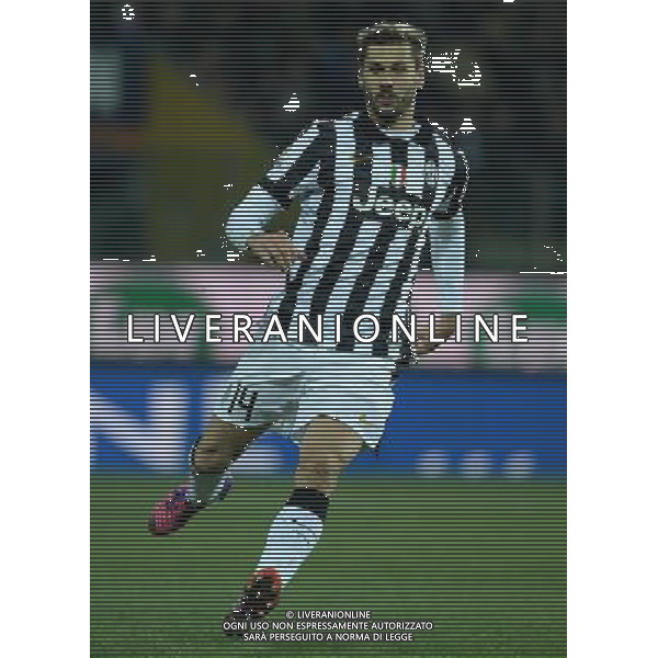 Coppa Italia TIM Cup 2014/2015 Quarti di Finale Parma - 28.01.2015 Parma-Juventus Nella Foto:Llorente Fernando /Ph.Vitez-Ag. Aldo Liverani