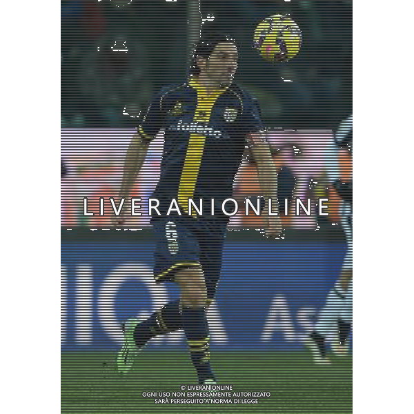 Coppa Italia TIM Cup 2014/2015 Quarti di Finale Parma - 28.01.2015 Parma-Juventus Nella Foto:Lucarelli Alessandro /Ph.Vitez-Ag. Aldo Liverani