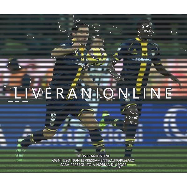Coppa Italia TIM Cup 2014/2015 Quarti di Finale Parma - 28.01.2015 Parma-Juventus Nella Foto:Lucarelli Alessandro /Ph.Vitez-Ag. Aldo Liverani