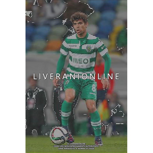 Andre Martins - 28.01.2015 - Sporting / Vitoria Setubal -Coupe de la ligue- Portugal- Photo : Carlos Rodrigues / Icon Sport AG ALDO LIVERANI SAS ONLY ITALY
