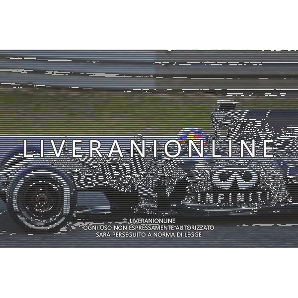 Daniel Ricciardo (AUS) Red Bull Racing RB11. 01.02.2015. Formula One Testing, Day One, Jerez, Spain. AG ALDO LIVERANI SAS ONLY ITALY
