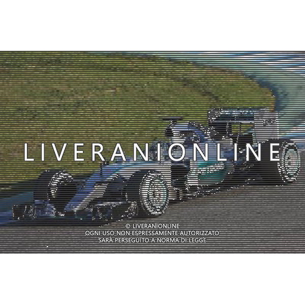 Nico Rosberg (GER) Mercedes AMG F1 W06. 01.02.2015. Formula One Testing, Day One, Jerez, Spain. AG ALDO LIVERANI SAS ONLY ITALY