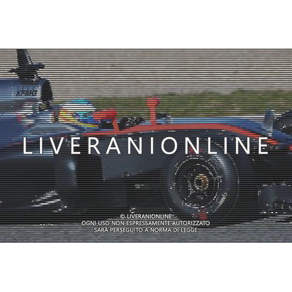 Fernando Alonso (ESP) McLaren MP4-30. 01.02.2015. Formula One Testing, Day One, Jerez, Spain. AG ALDO LIVERANI SAS ONLY ITALY