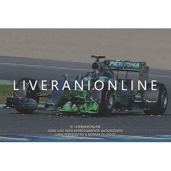 Nico Rosberg (GER) Mercedes AMG F1 W06 running flow-vis paint. 01.02.2015. Formula One Testing, Day One, Jerez, Spain. AG ALDO LIVERANI SAS ONLY ITALY