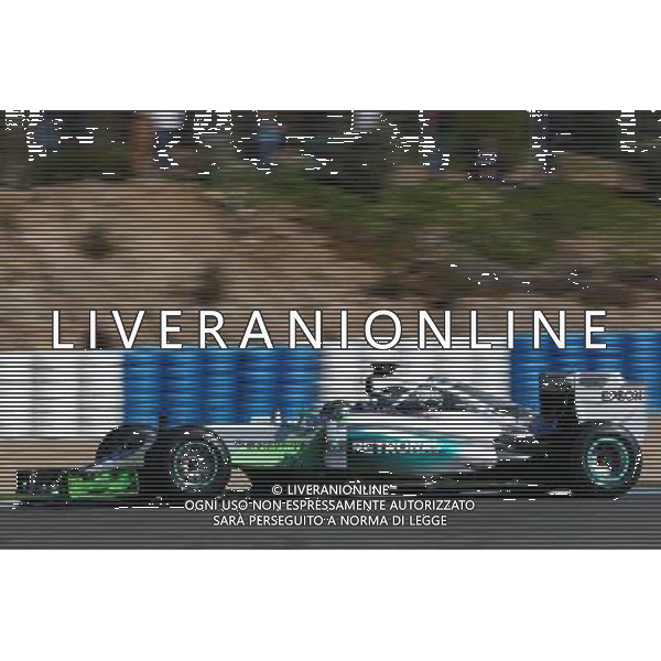 Nico Rosberg (GER) Mercedes AMG F1 W06 running flow-vis paint. 01.02.2015. Formula One Testing, Day One, Jerez, Spain. AG ALDO LIVERANI SAS ONLY ITALY