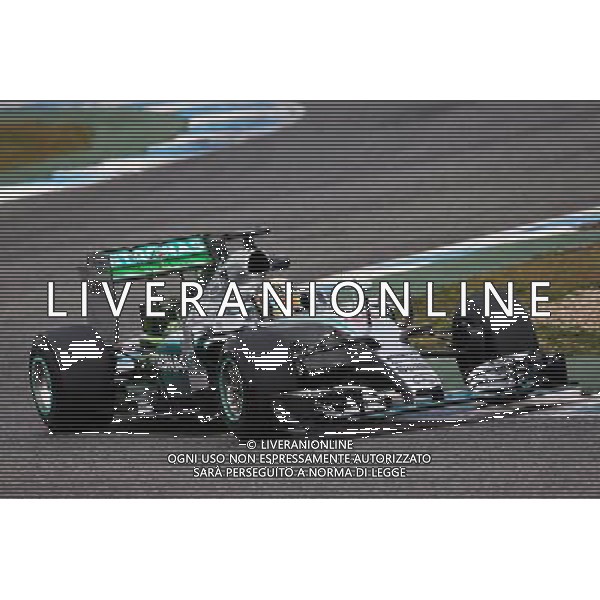 Lewis Hamilton (GBR) Mercedes AMG F1 W06 running flow-vis paint on the rear wing. 02.02.2015. Formula One Testing, Day Two, Jerez, Spain. AG ALDO LIVERANI SAS ONLY ITALY