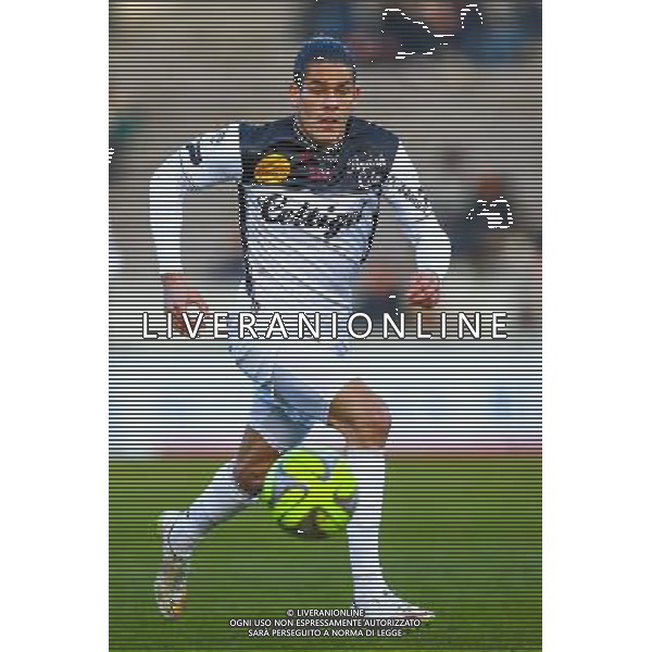 Dorian Leveque - 01.02.2015 - Bordeaux / Guingamp - 23eme journee de Ligue 1 - Photo : Manuel Blondeau / Icon Sport AG ALDO LIVERANI SAS ONLY ITALY