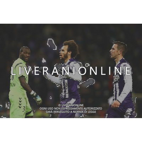 Joie Martin Braithwaite / Aleksandar Pesic - 31.01.2015 - Toulouse / Reims - 23eme journee de Ligue 1 - Photo : Manuel Blondeau / Icon Sport /Agenzia Aldo Liverani sas - ITALY ONLY - EDITORIAL USE ONLY