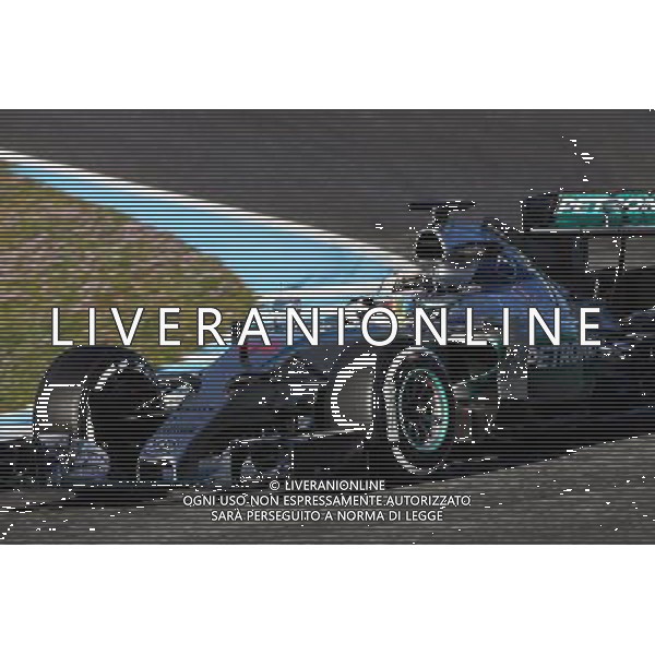 Lewis Hamilton (GBR) Mercedes AMG F1 W06. 04.02.2015. Formula One Testing, Day Four, Jerez, Spain. AG ALDO LIVERANI SAS ONLY ITALY