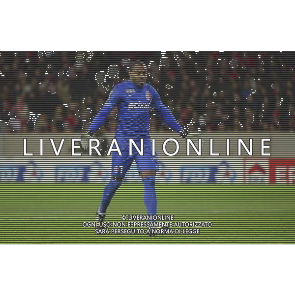 Vincent ENYEAMA - 03.02.2015 - Lille / Paris Saint Germain - 1/2Finale Coupe de la Ligue Photo : Dave Winter / Icon Sport /AGENZIA ALDO LIVERANI SAS - ITALY ONLY - EDITORIAL USE ONLY