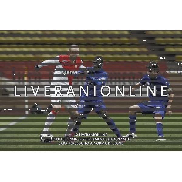 Dimitar BERBATOV - 04.02.2015 - Monaco / Bastia - 1/2Finale Coupe de la Ligue Photo : Sebastien Nogier / Icon Sport AG ALDO LIVERANI SAS ONLY ITALY