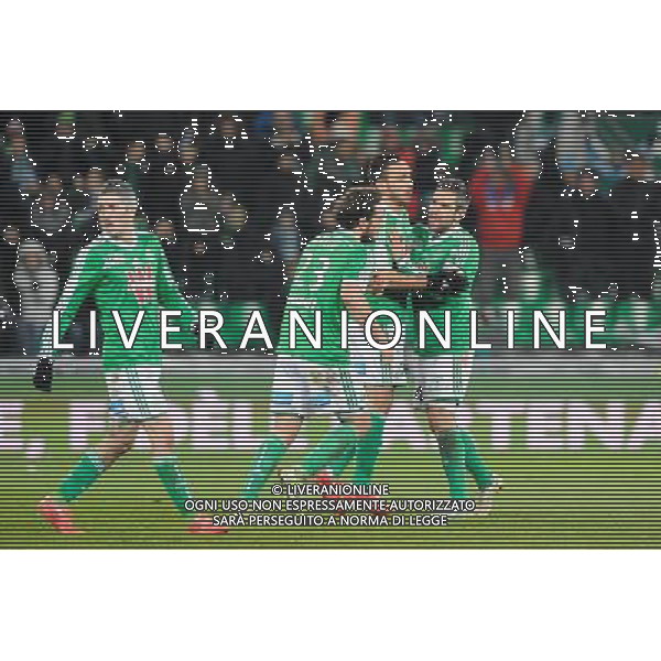 Joie Mevlut ERDING - 06.02.2015 - Saint Etienne / Lens - 24eme journee de Ligue 1 - Photo : Jean Paul Thomas / Icon Sport AG ALDO LIVERANI SAS ONLY ITALY