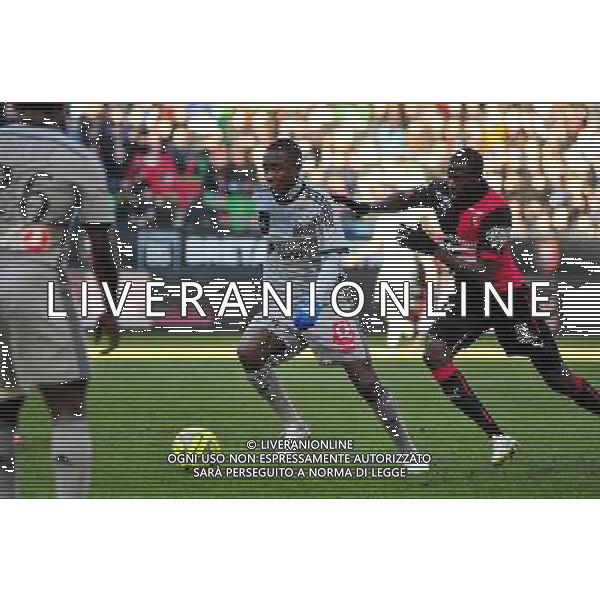 Giannelli Imbula - 07.02.2015 - Rennes / Marseille - 24eme journee de Ligue 1 Photo : Philippe Le Brech / Icon Sport AG ALDO LIVERANI SAS ONLY ITALY
