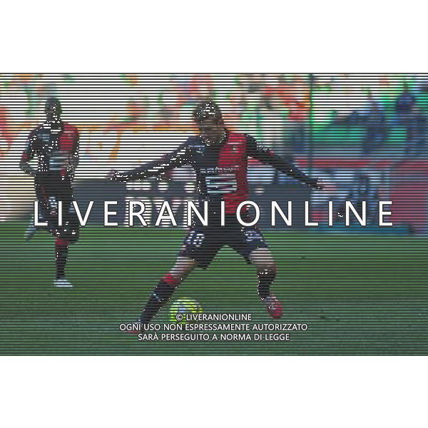 Pedro Henrique - 07.02.2015 - Rennes / Marseille - 24eme journee de Ligue 1 Photo : Philippe Le Brech / Icon Sport AG ALDO LIVERANI SAS ONLY ITALY