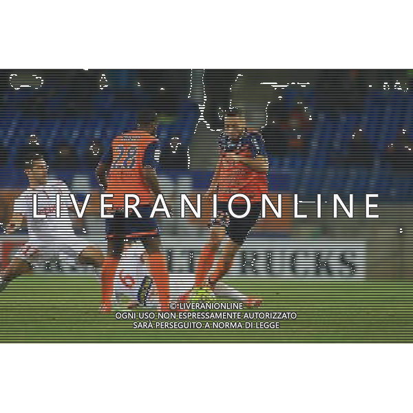 Jamel SAIHI - 07.02.2015 - Montpellier / Lille - 24eme journee de Ligue 1 Photo : Nicolas Guyonnet / Icon Sport AG ALDO LIVERANI SAS ONLY ITALY