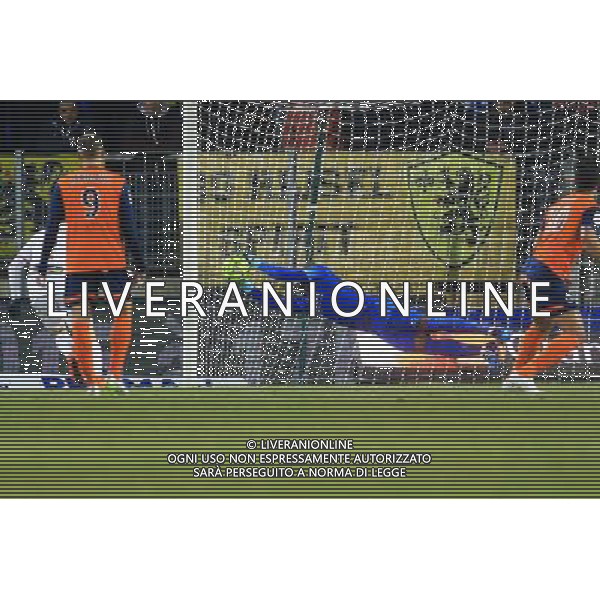 Vincent ENYEAMA - 07.02.2015 - Montpellier / Lille - 24eme journee de Ligue 1 Photo : Nicolas Guyonnet / Icon Sport AG ALDO LIVERANI SAS ONLY ITALY