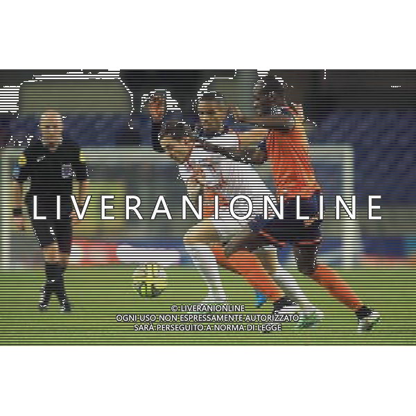 Nolan ROUX - 07.02.2015 - Montpellier / Lille - 24eme journee de Ligue 1 Photo : Nicolas Guyonnet / Icon Sport AG ALDO LIVERANI SAS ONLY ITALY