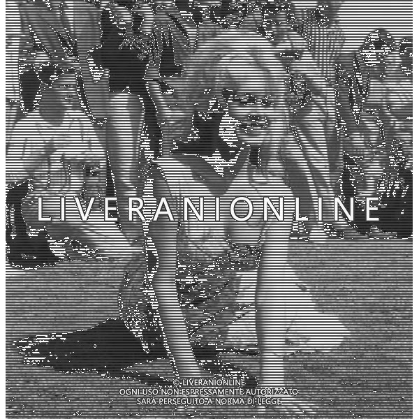 ARCHIVIO FILMCODEX-AG ALDO LIVERANI NELLA FOTO BRIGITTE BARDOT FILMCODEX-LIVERANI ONLY ITALY