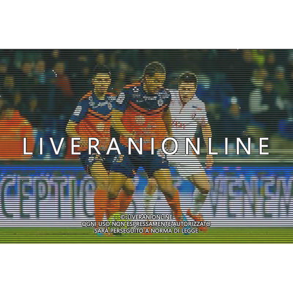 Daniel CONGRE - 07.02.2015 - Montpellier / Lille - 24eme journee de Ligue 1 Photo : Nicolas Guyonnet / Icon Sport AG ALDO LIVERANI SAS ONLY ITALY
