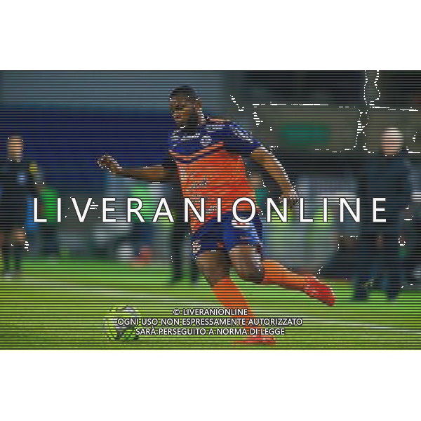 Djamel BAKAR - 07.02.2015 - Montpellier / Lille - 24eme journee de Ligue 1 Photo : Nicolas Guyonnet / Icon Sport AG ALDO LIVERANI SAS ONLY ITALY