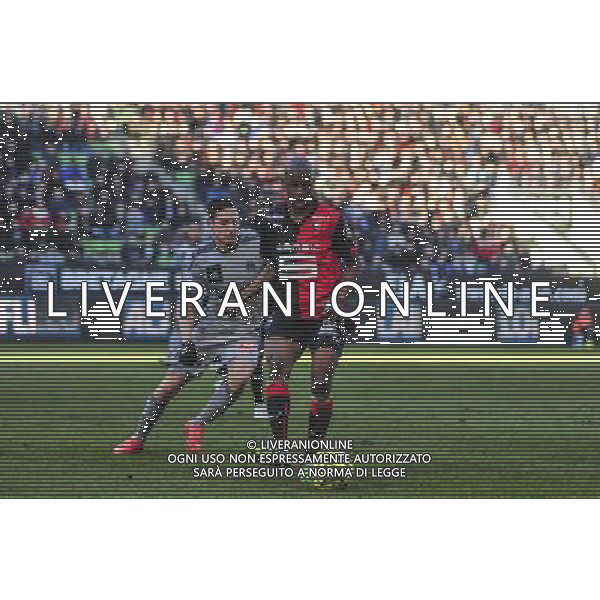 Gelson Fernandes - 07.02.2015 - Rennes / Marseille - 24eme journee de Ligue 1 Photo : Phillipe Lebrech / Icon Sport AG ALDO LIVERANI SAS ONLY ITALY