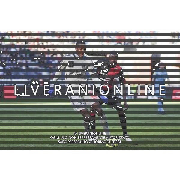 Giannelli Imbula - 07.02.2015 - Rennes / Marseille - 24eme journee de Ligue 1 Photo : Phillipe Lebrech / Icon Sport AG ALDO LIVERANI SAS ONLY ITALY