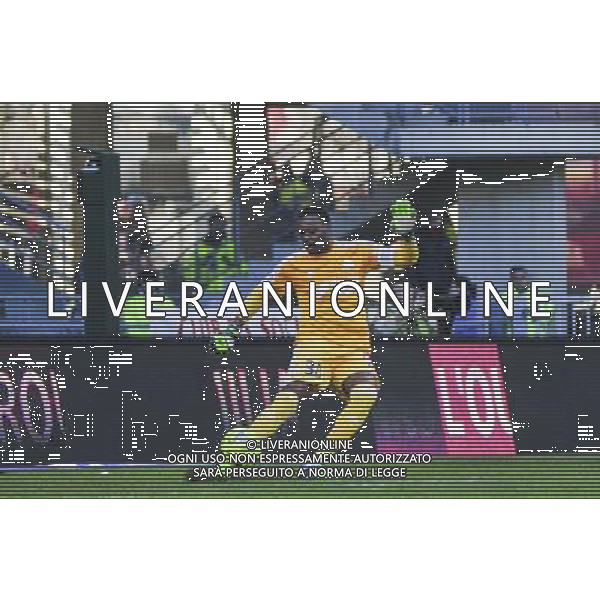 Steve Mandanda - 07.02.2015 - Rennes / Marseille - 24eme journee de Ligue 1 Photo : Phillipe Lebrech / Icon Sport AG ALDO LIVERANI SAS ONLY ITALY