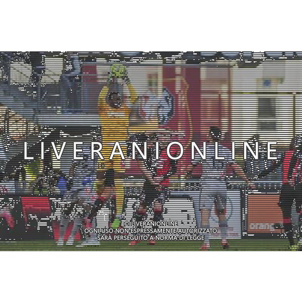 Steve Mandanda - 07.02.2015 - Rennes / Marseille - 24eme journee de Ligue 1 Photo : Phillipe Lebrech / Icon Sport AG ALDO LIVERANI SAS ONLY ITALY