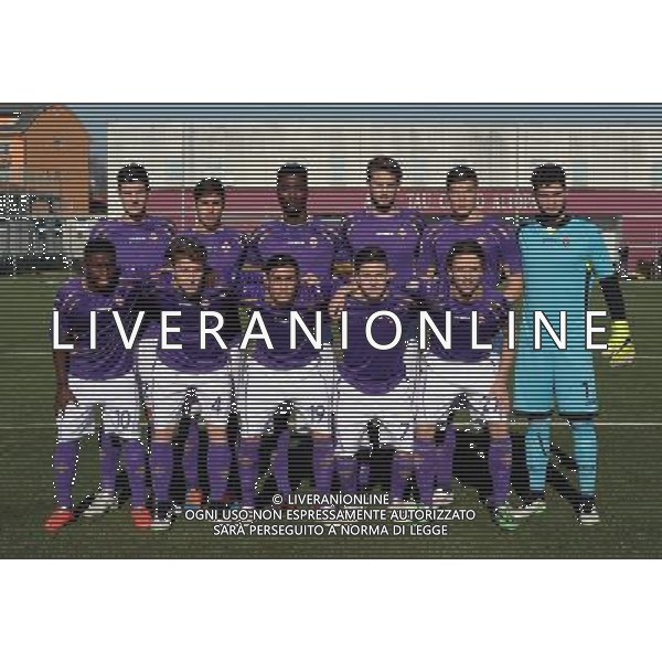 67¡ Viareggio Cup Coppa Carnevale Ottavi di Finale Altopascio (LU) - 10.02.2015 Fiorentina-PSV Eindhoven Nella Foto:Fiorentina Squadra Formazione Bardini,Gigli,Zanon,Minelli,Bangu,Bandinelli,Bagadur,Peralta,Petriccione,Mancini,Gondo\' /Ph.Vitez-Ag. Aldo Liverani