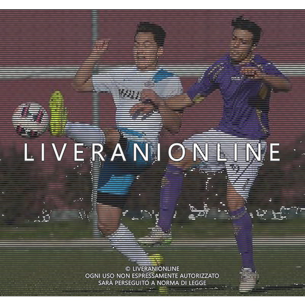 67¡ Viareggio Cup Coppa Carnevale Ottavi di Finale Altopascio (LU) - 10.02.2015 Fiorentina-PSV Eindhoven Nella Foto:Peralta Diego-Bob Groenendijk /Ph.Vitez-Ag. Aldo Liverani